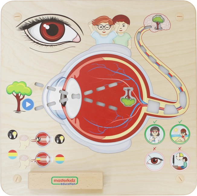 Tablă Educațională Masterkidz Vedere Montessori
