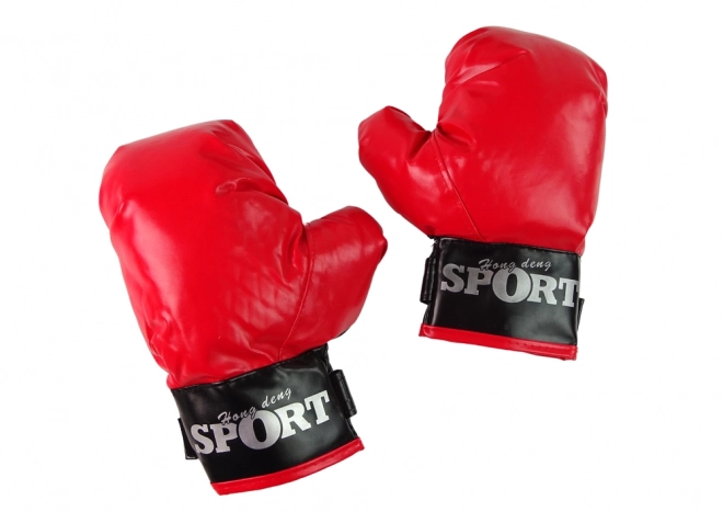 Set de box cu sac și mănuși
