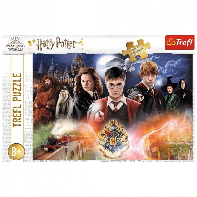 Puzzle 300 piese Harry Potter Misterios