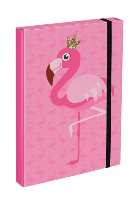 Mape pentru caiete școlare A4 Flamingo