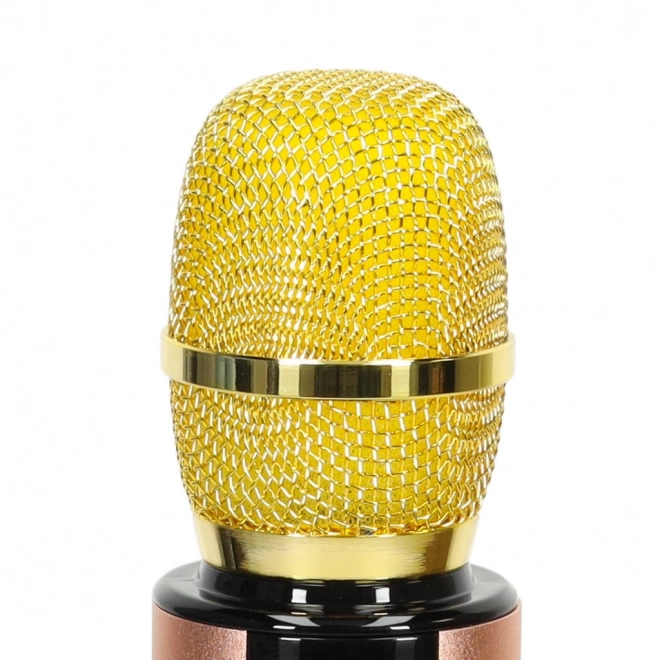 Microfon wireless de karaoke Bluetooth negru – Auriu