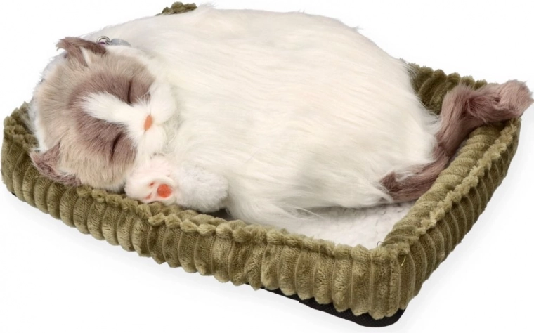 Somn realist pentru calmare