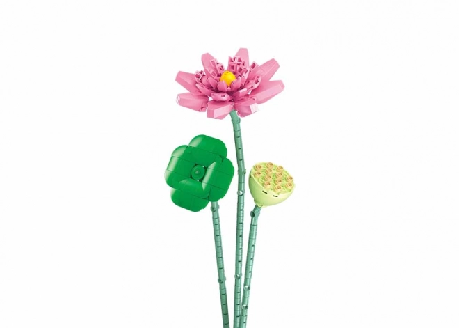 Lotos în vază Sluban Flowers