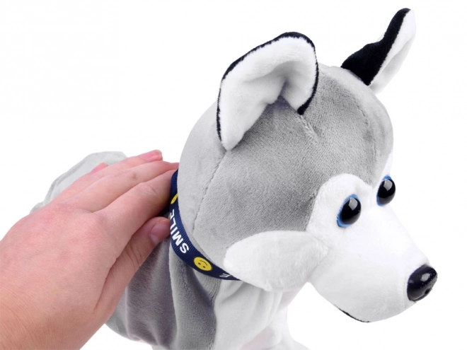 Pui interactiv Husky care reacționează la atingere