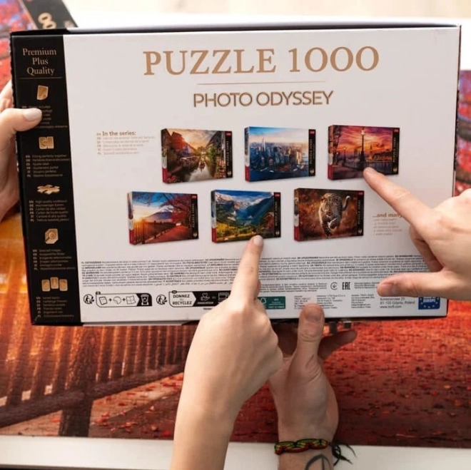 Puzzle 1000 piese - premium plus foto - mică venezia în colmar, franța