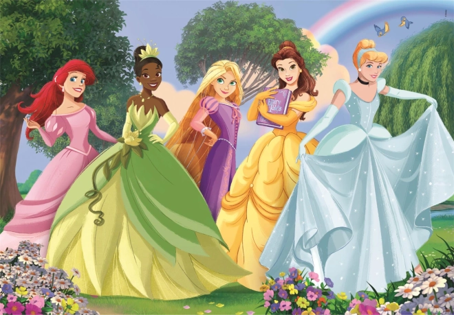 Motiv fermecător cu Prințesele Disney