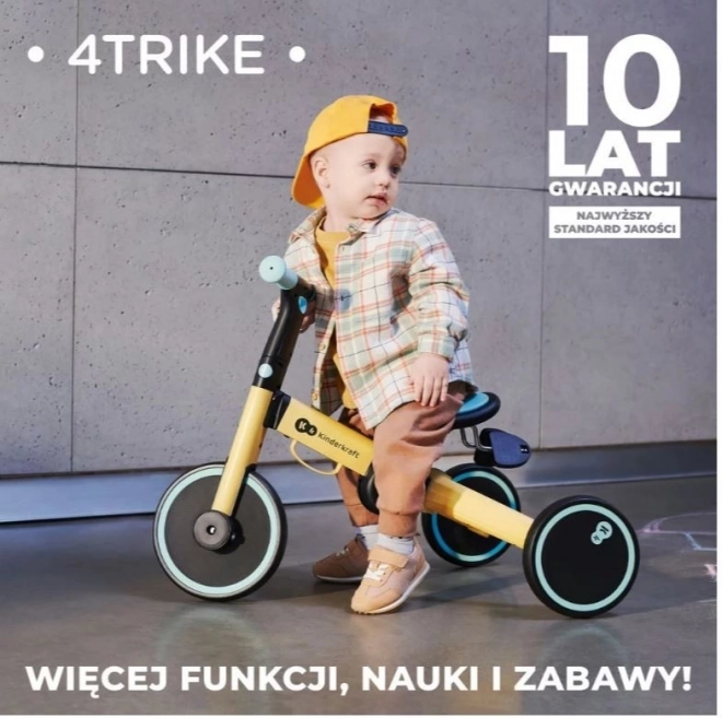 Tricicletă pentru copii 4Trike argintiu