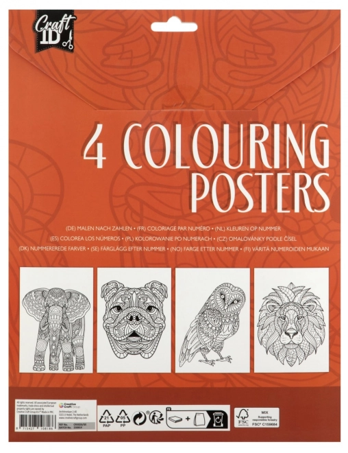 Carte de colorat cu 4 imagini și 10 creioane A4