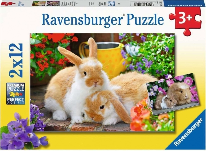 Puzzle Ravensburger Timp pentru îmbrățișări 2x12 piese