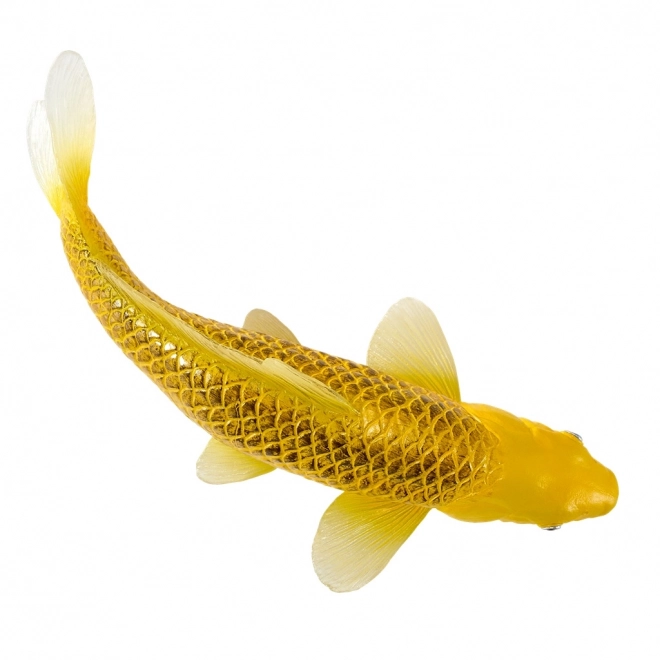 Mojo crap koi Matsuba