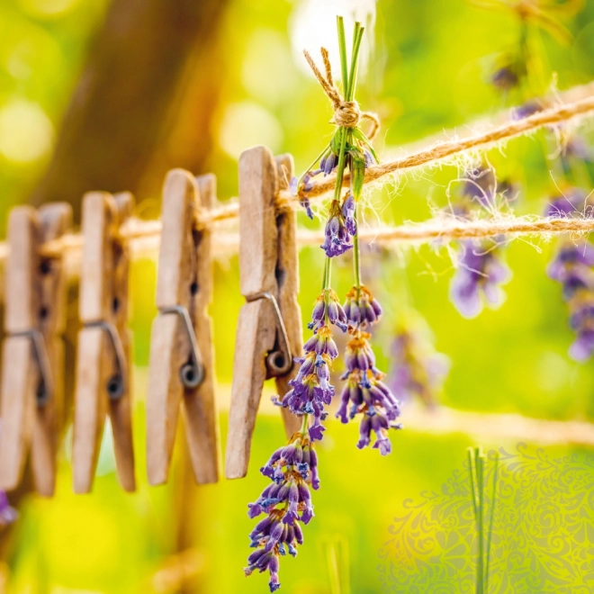 calendar notique anul 2025 cu temă provence, parfum de lavandă