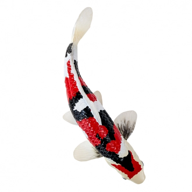 Mojo crap koi showa sanshoku