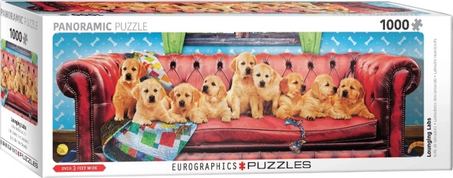 Puzzle panoramic Labradoori pe canapea