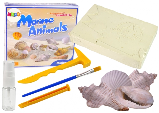 Set arheologic descoperire animale marine