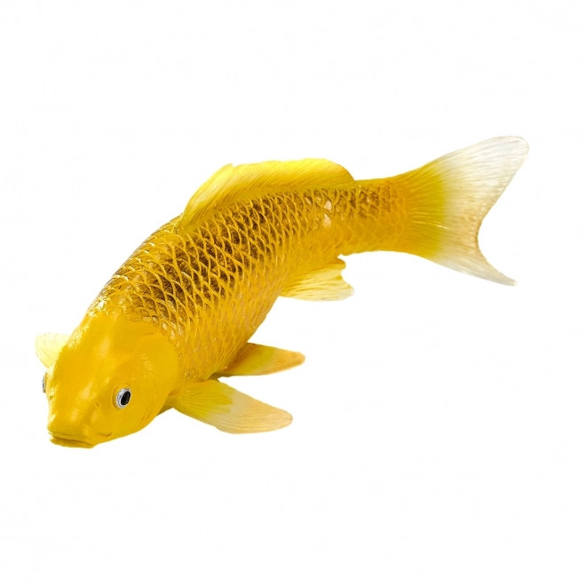 Mojo crap koi Matsuba