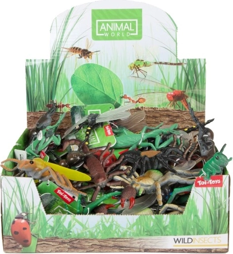 Modele realiste de insecte pentru învățare distractivă