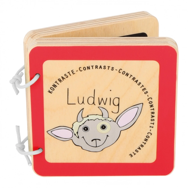 carte din lemn cu Ludwig