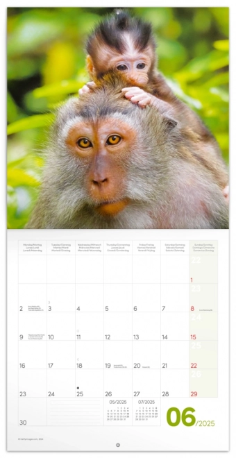 Calendar Notique cu pui de animale 2025