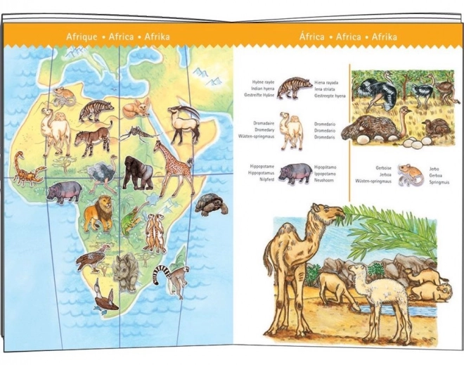 Puzzle observație animale din întreaga lume 100 piese de la Djeco
