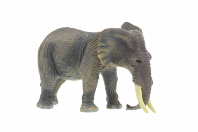 Animale Safari