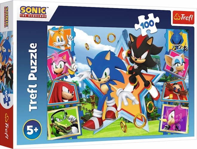 Puzzle 100 Piese Descoperă-l pe Sonic