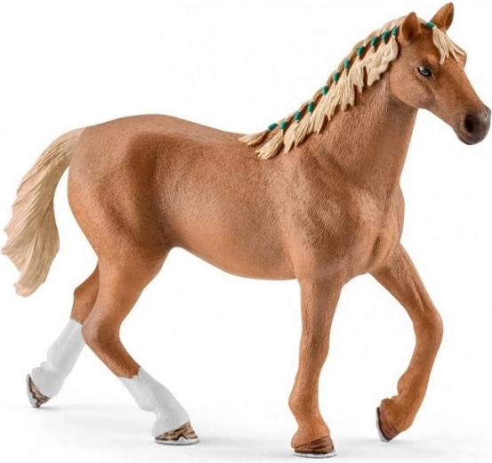 Accesorii bogate