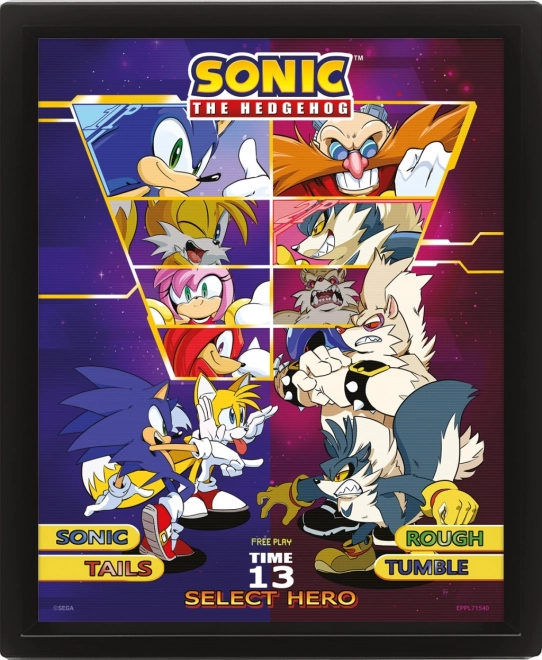 Tablou 3D Sonic: Alege-ți luptătorul