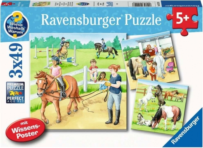 Puzzle Ravensburger la cai 3x49 piese