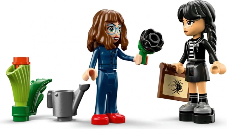 Două eroine pentru scene inspirate din serial