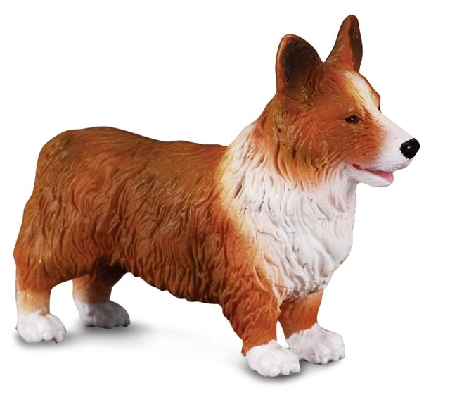 Câine Welsh Corgi Collecta