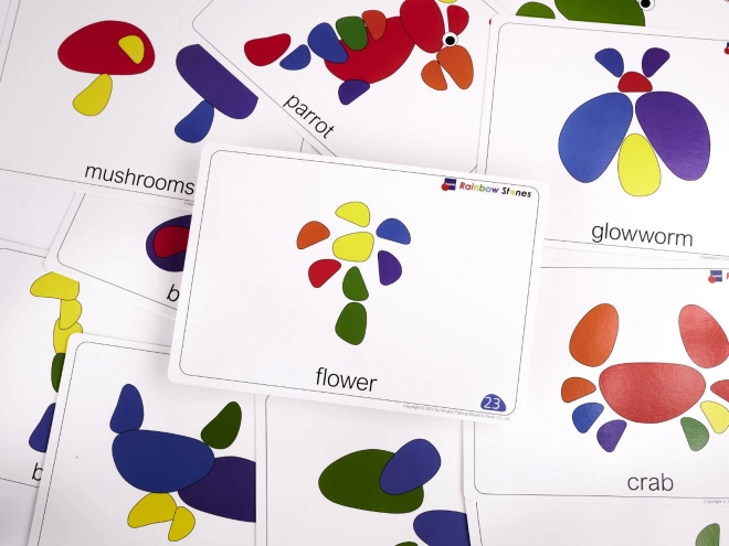 Pietre colorate creative Montessori set 65 buc