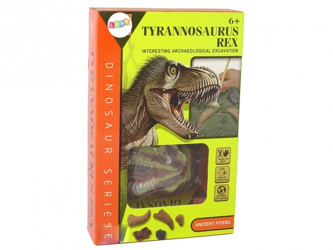 set educativ descoperiri fosile dinozaur tiranozaur