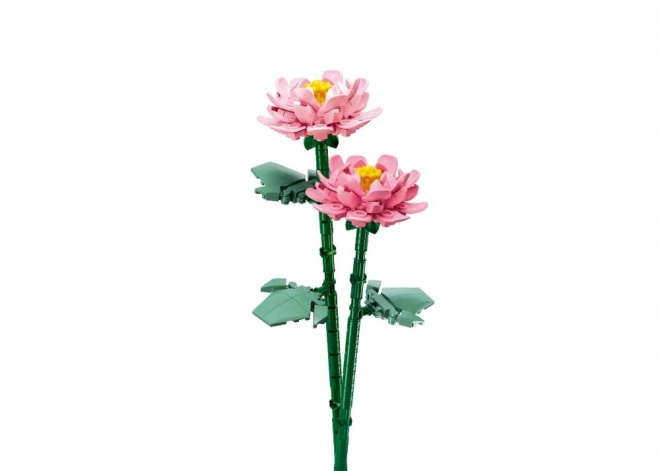 Floare în vază Sluban