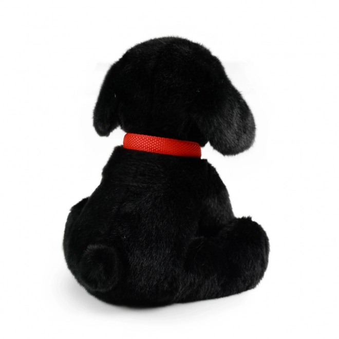 Labrador de pluș cu lesă ECO-FRIENDLY