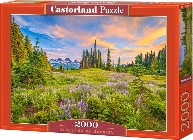 Puzzle flori de dimineață 2000 piese