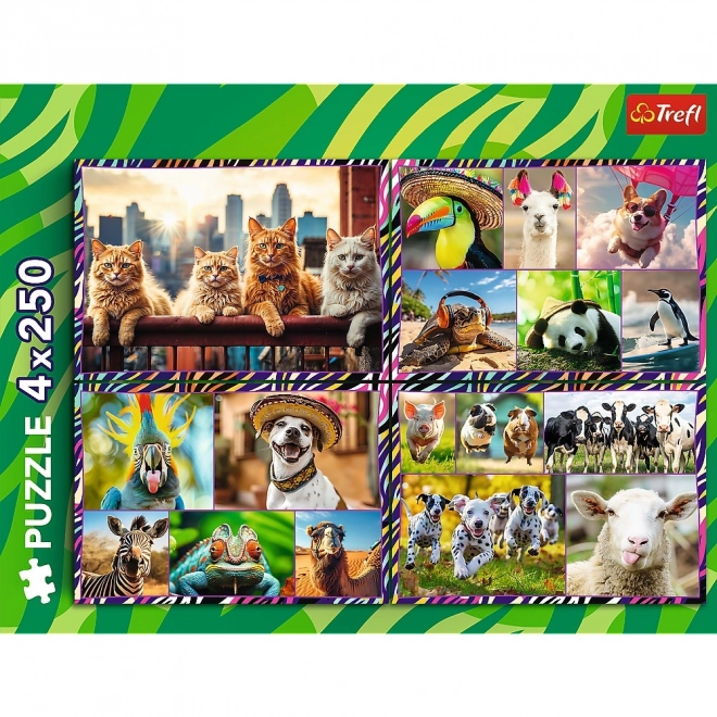 Puzzle 4 x 250 piese animale amuzante