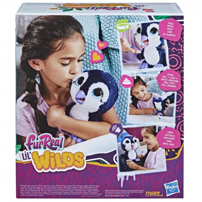 Tuț Fr Real Lil Wilds