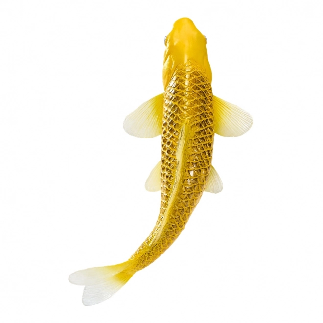 Mojo crap koi Matsuba