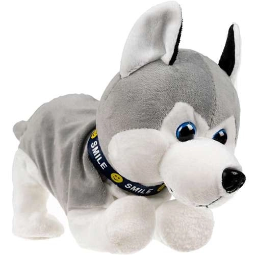 Pui interactiv Husky