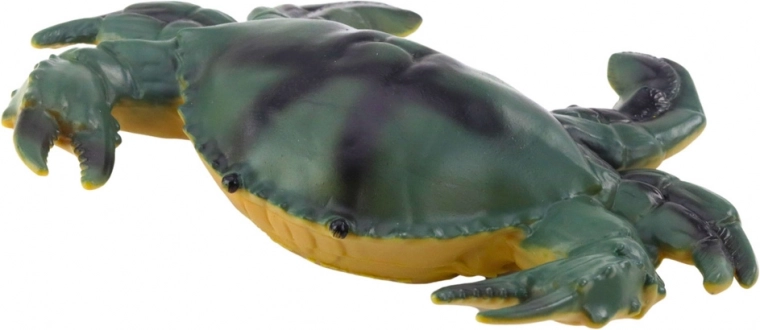 Culori realiste și diferite specii de animale marine