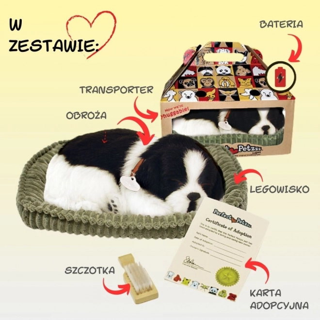 Border Collie respirație jucărie de pluș adoptabilă