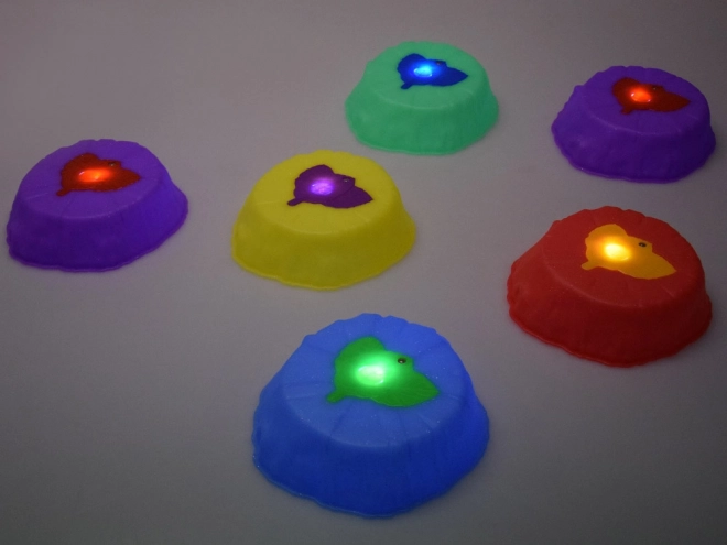 Set poteci senzoriale luminoase - pietre pentru antrenamentul echilibrului