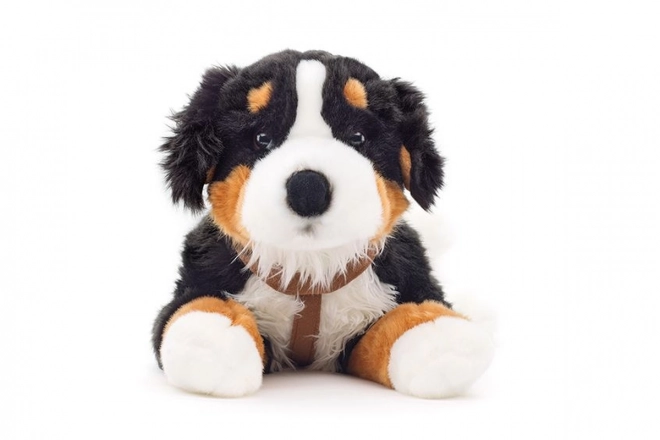 Jucărie de pluș Câine de munte Bernese 65 cm