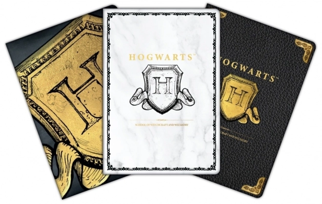 Set caiete A6 HARRY POTTER