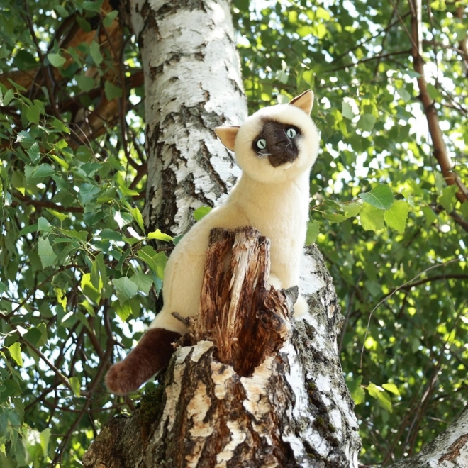 pisică siameză de pluș 30 cm eco-prietenoasă