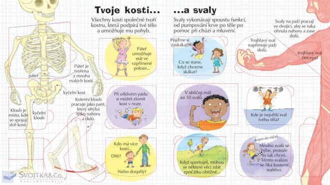 Privește în corpul tău