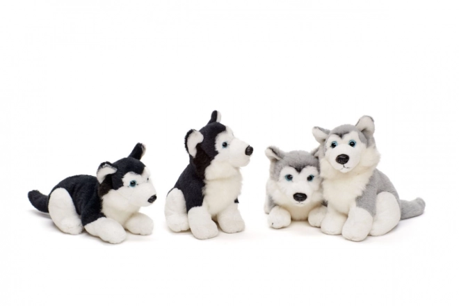 jucărie husky de pluș 15 cm