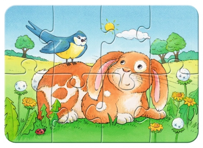 Primul meu puzzle cu animale de companie RAVENSBURGER