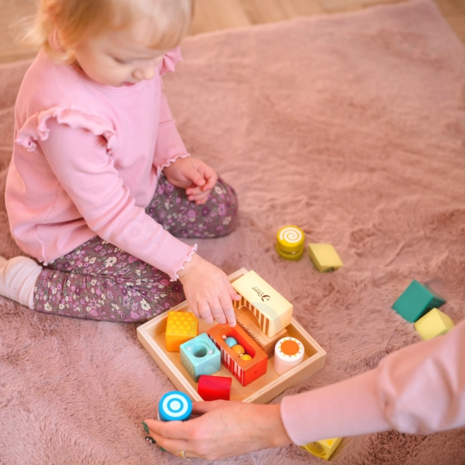 Klocki senzoriale multifuncționale cu 7 funcții Montessori de la Classic World