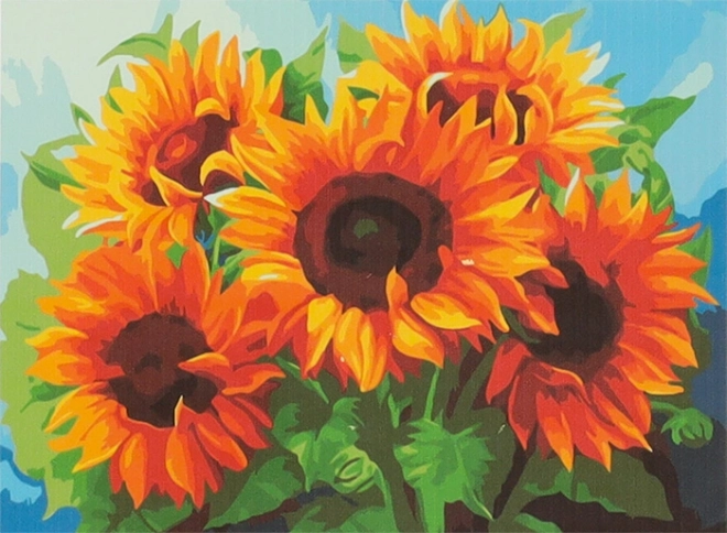 Pictură pe numere Floarea Soarelui 50x40cm